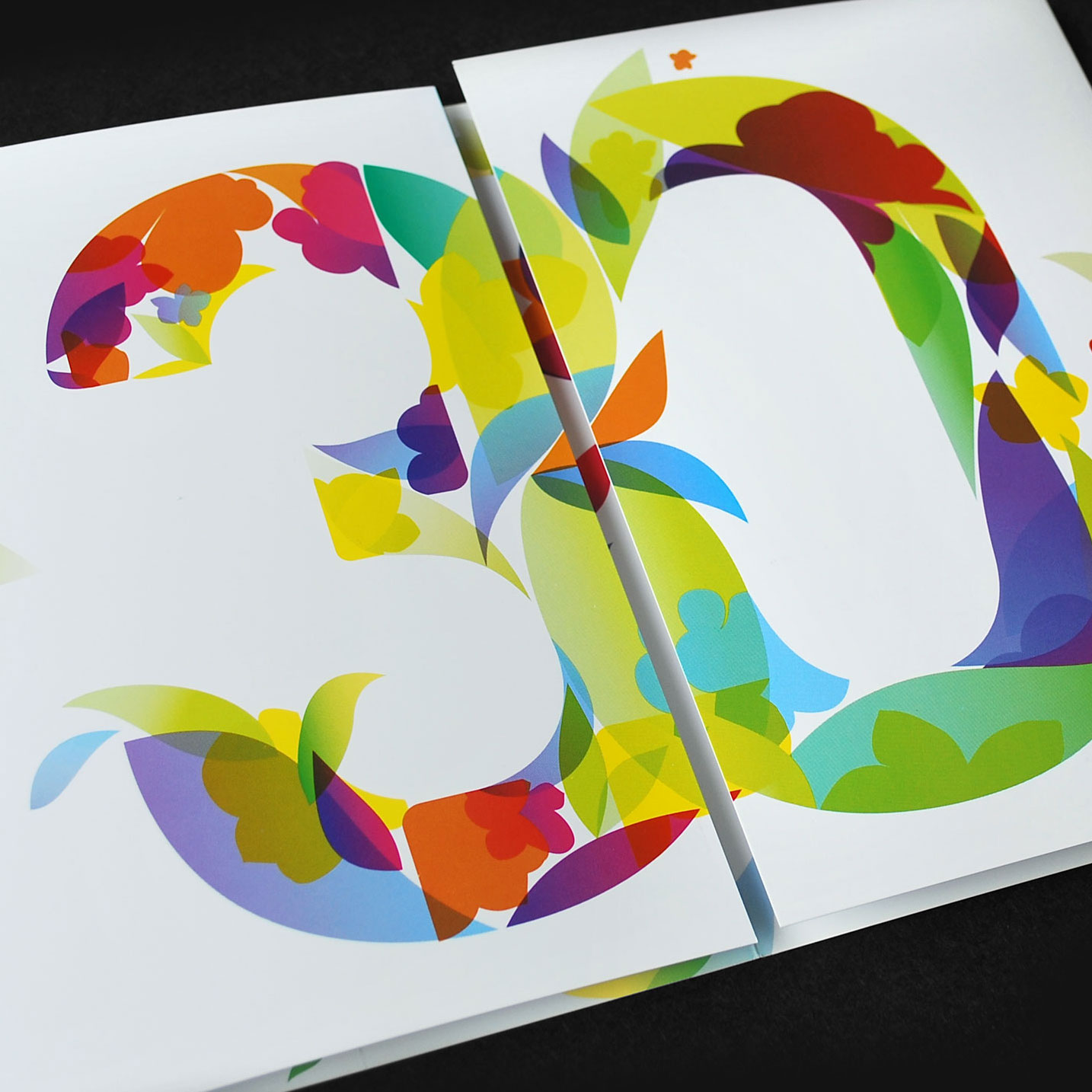 Celebrating 30 years of community activism